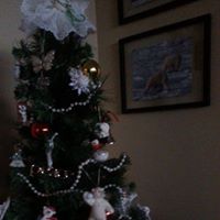 Ann Goyette Photo 9