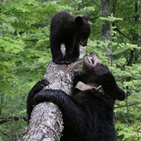 Sandra Winters Photo 31