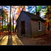 Jr Walden Photo 3