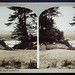 Peter Mckenna Photo 13