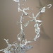 Susan Kimball Photo 24