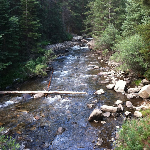 Laurie Nelson Photo 7