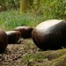 Julie Farrar Photo 18