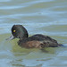 Brenda Teal Photo 12