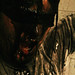 Jon Showers Photo 15