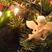 Angel Rolon Photo 34