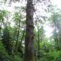 Terri Tabor Photo 15