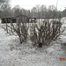 Debra Goss Photo 11