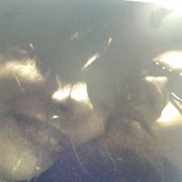 Erin Flaherty Photo 13