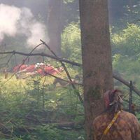 Dennis Mckibben Photo 6