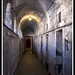 James Davitt Photo 12