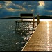 Donna Pond Photo 10