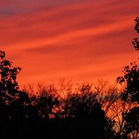 Janice Winkler Photo 8