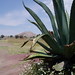 Flora Gutierrez Photo 23