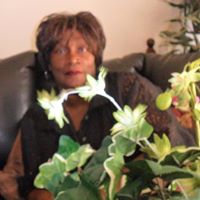 Dora Jenkins Photo 25