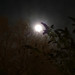 Deborah Speed Photo 12
