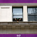 Martin Roe Photo 9