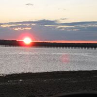 Darlene King Photo 18