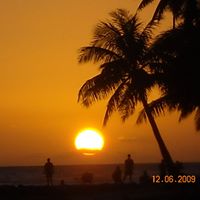 Roy Morris Photo 39