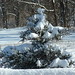 Rebecca Stover Photo 20
