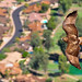 Eddie Falcon Photo 36