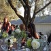 Catherine Milam Photo 3