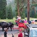 Greg Leavitt Photo 11