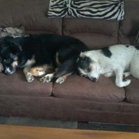 Colleen Huff Photo 13