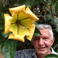 Dennis Rees Photo 3