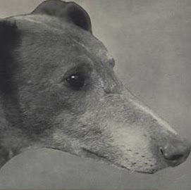 Mick Miller Photo 36