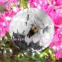 Regina Shelton Photo 28