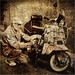Florence Albano Photo 8