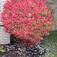 Sherrie Cook Photo 18