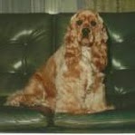 Tony Rogers Photo 5