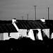 Mark Warne Photo 21