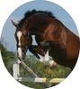 Lisa Smit Photo 20