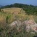 Virginia Meadows Photo 15