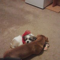 Sandra Baugh Photo 7