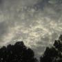 James Doss Photo 26
