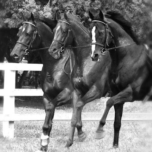 Janet Plumb Photo 5