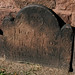 Elizabeth Osborn Photo 35
