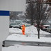 Adam Kurtz Photo 16