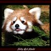 Janet Stocks Photo 12