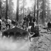 Gerald Black Photo 14