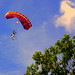 Terry Curtis Photo 14