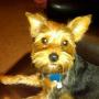 Brenda Butler Photo 9