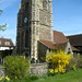 Mary Hadley Photo 9