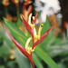 Max Flowers Photo 14