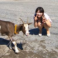 Tomoe Sato Photo 12