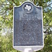 Susan Dowdy Photo 10